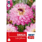 Dahlia Luka Johanna