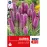 Liatris spicata Violet