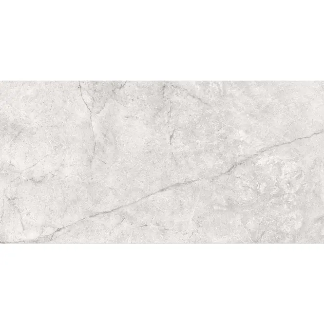 Arcos Light Grey Glossy 29,8/59,8,2