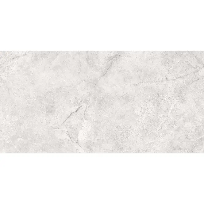 Arcos Light Grey Glossy 29,8/59,8,3