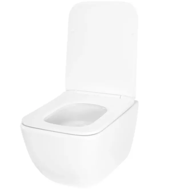 Závesná WC misa Dexter Tornado