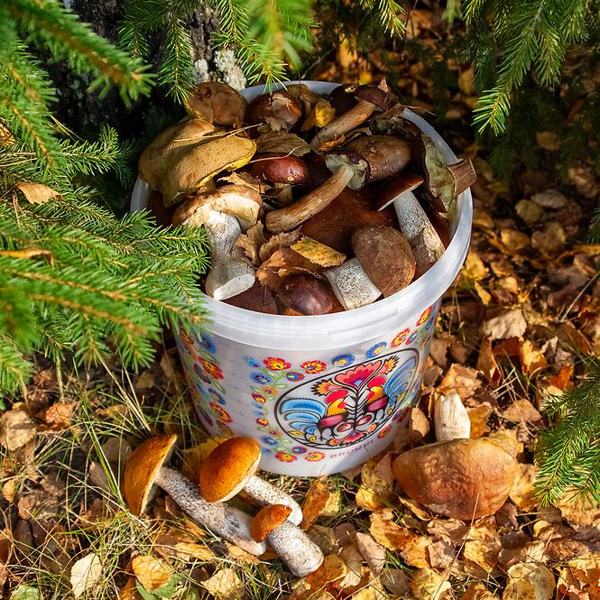 Potravinárske vedro gwiozda - s vekom 10 l