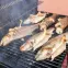Štiepky na údenie/grilovanie dub - 450 g tr. 8,13