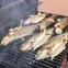 Štiepky na údenie/grilovanie jabloň – 450 g tr. 8,7