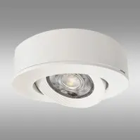 Stropné svietidlo TR-14DL 5W LED biele