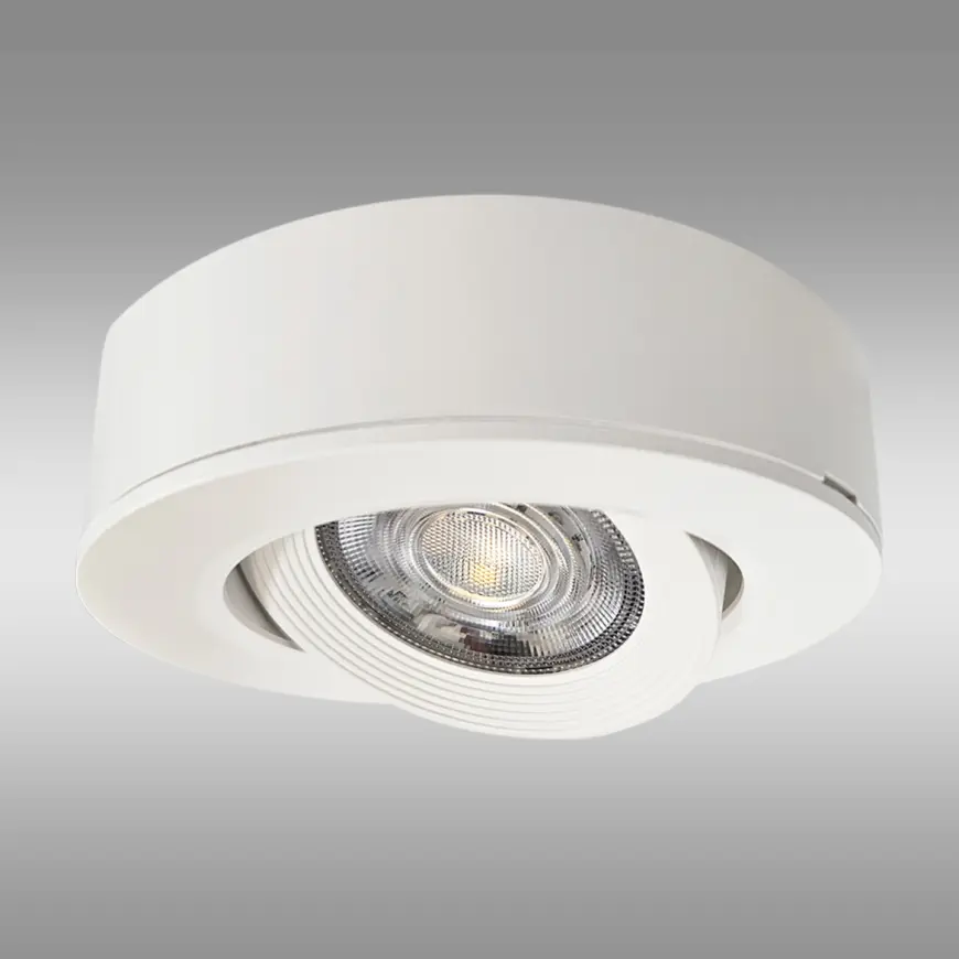 Stropné svietidlo TR-14DL 5W LED biele