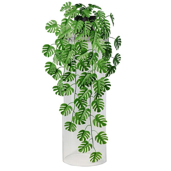 Závesná rastlina 91093