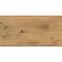Eternal infinity Wood Bronze 29,8/59,8,4