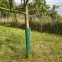 Sieťovina na stromy H-60 cmx30 cm zelená 1  ks,2