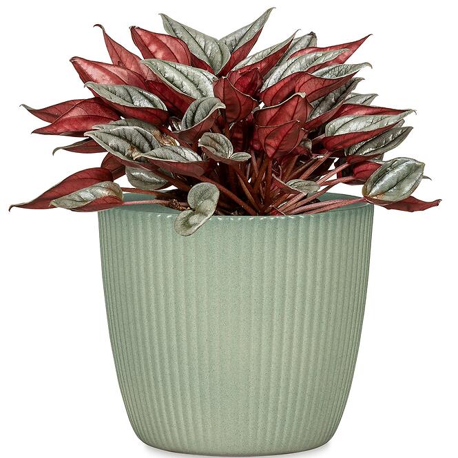 Kvetináč Aura Jade 842/14,2