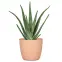 Kvetináč Aura Peach 842/14,2
