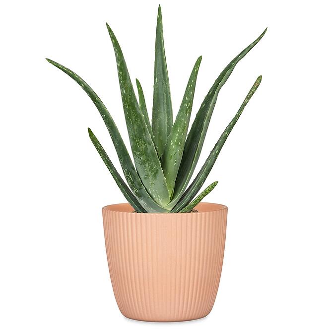 Kvetináč Aura Peach 842/16,2