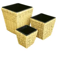 žltý