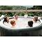 MSpa Comfort Meteor,5