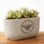 Kvetináč ys462099s 20,3x11,8x11,3 cement bee,2