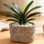 Kvetináč ys492180l 18x11x11 cement oval,4