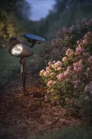 Solárna lampa PUNKTOWA VO0319