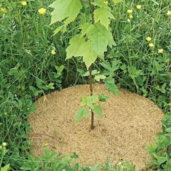 Mulčovací disk 23 cm