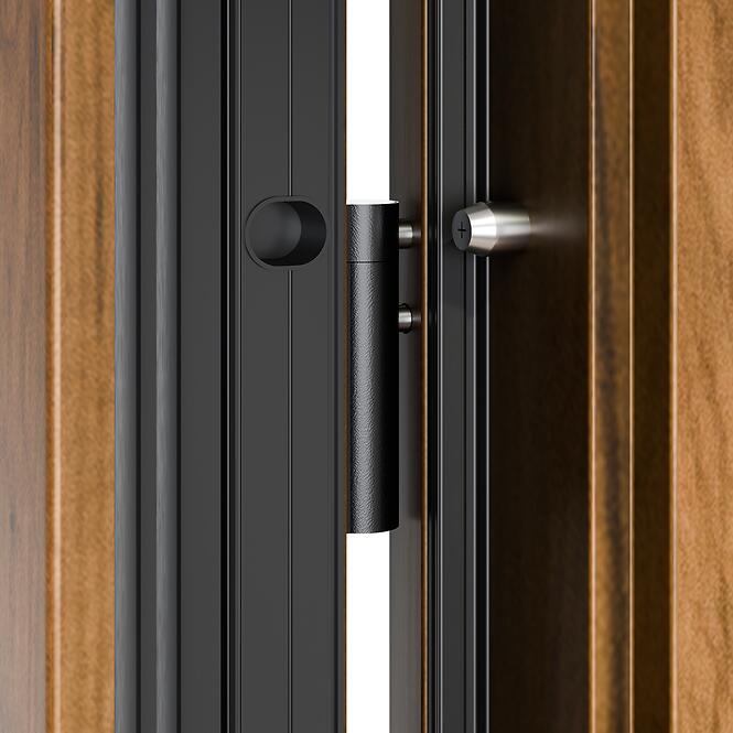 Dvere vchodové Neptun 90 L orech čierna inox/grafitové,5