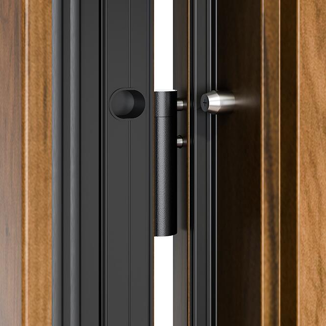 Dvere vchodové Asteria 90 P dub sonoma čierna inox/grafitové