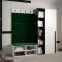 Predsieňový nábytok Miro biela panel zelená,4
