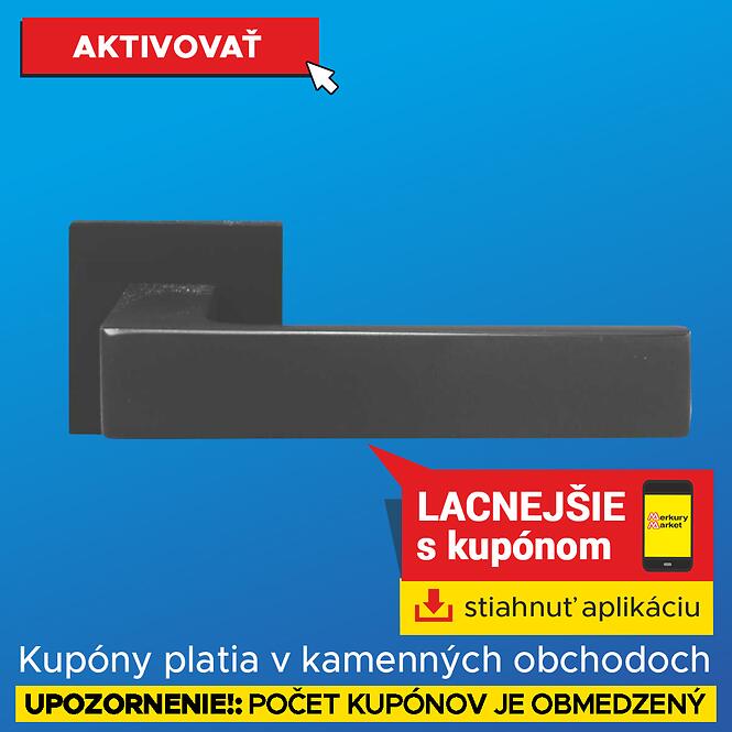 Dverová kľučka Trend ZR25 čierny (SK)