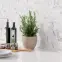 Mozaika hexagon Classic Carrara Mat 27,7/32,3,6