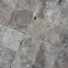 Prírodný obkladový kameň Trawertyn Silver ASH