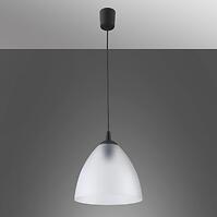 Luster DAWID 11748 TRANSPARENT 1XE27