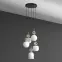 Luster SOPHIA COGNAC WHITE 11593 PL5