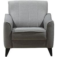 Kreslo Prestige 1