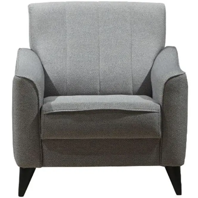 Kreslo Prestige 1
