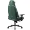 Kreslo Pre Hráča Diablo X.Eye Prime Normal Forest Green,4