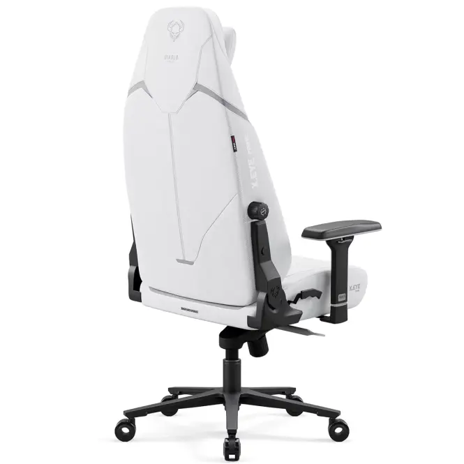 Kreslo Pre Hráča Diablo X.Eye Prime Ghosted White