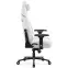 Kreslo Pre Hráča Diablo X.Eye Prime Ghosted White,5