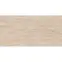 Basati Beige Mat 119,8/59,8,2