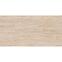 Basati Beige Mat 119,8/59,8,2