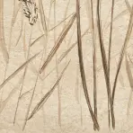 Dekor Beelitz Grass A 119,8/59,8