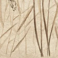 Dekor Beelitz Grass A 119,8/59,8