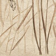 Dekor Beelitz Grass A 119,8/59,8