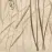 Dekor Beelitz Grass A 119,8/59,8