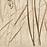 Dekor Beelitz Grass A 119,8/59,8
