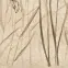 Dekor Beelitz Grass A 119,8/59,8