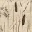 Dekor Beelitz Grass B 119,8/59,8
