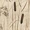 Dekor Beelitz Grass B 119,8/59,8