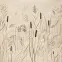 Dekor Beelitz Grass B 119,8/59,8,2
