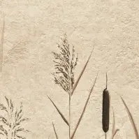 Dekor Beelitz Grass C 119,8/59,8