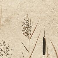 Dekor Beelitz Grass C 119,8/59,8