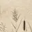 Dekor Beelitz Grass C 119,8/59,8