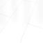 Obkladovy panel SPC 68091 Uni White 39,2x118cm 3mm